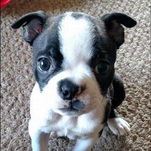 Meet your Posher, Stanley